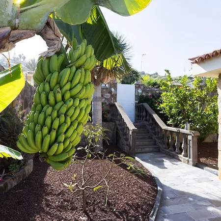 Home2book Elegant El Private Pool&bbq 别墅 *